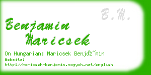 benjamin maricsek business card